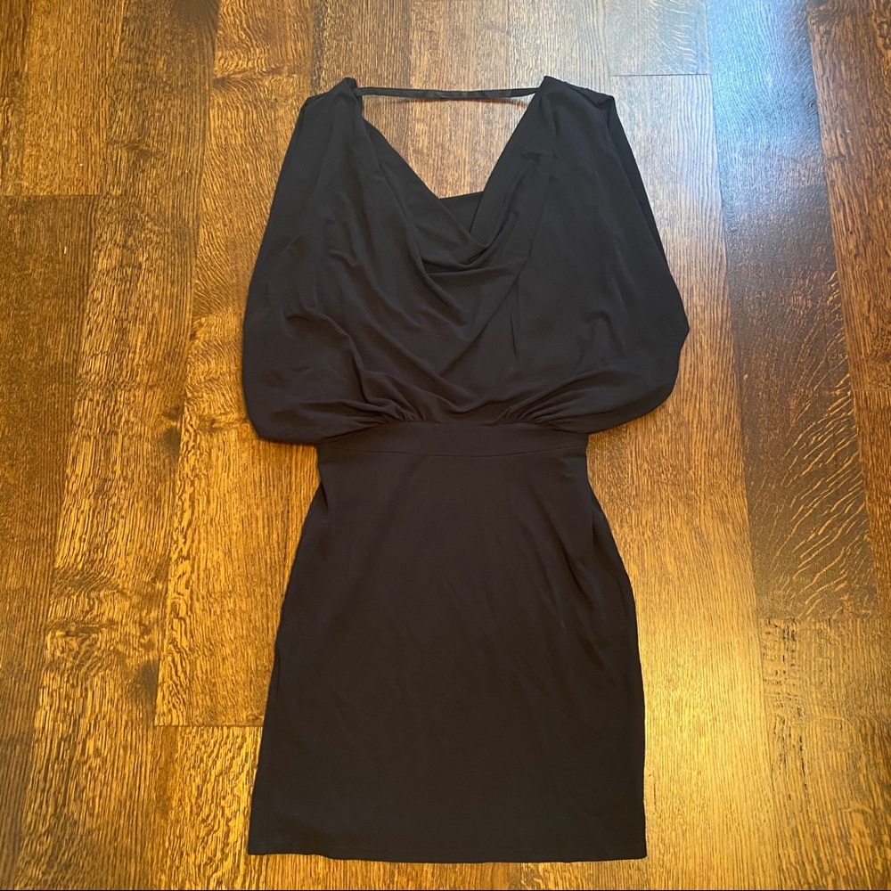 Haute Hippie Dress